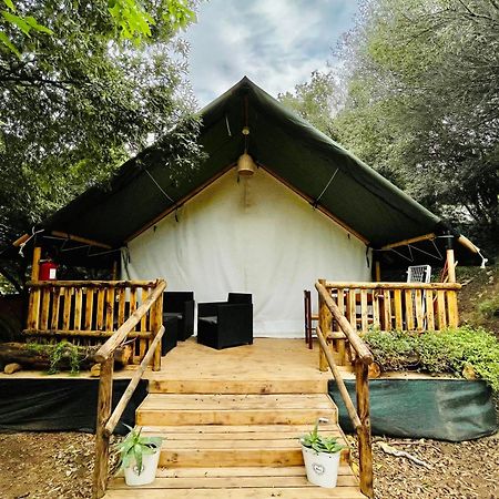 New Camping Coccorrocci Marina di Gairo Eksteriør billede