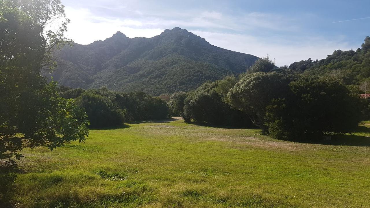 New Camping Coccorrocci Marina di Gairo Eksteriør billede