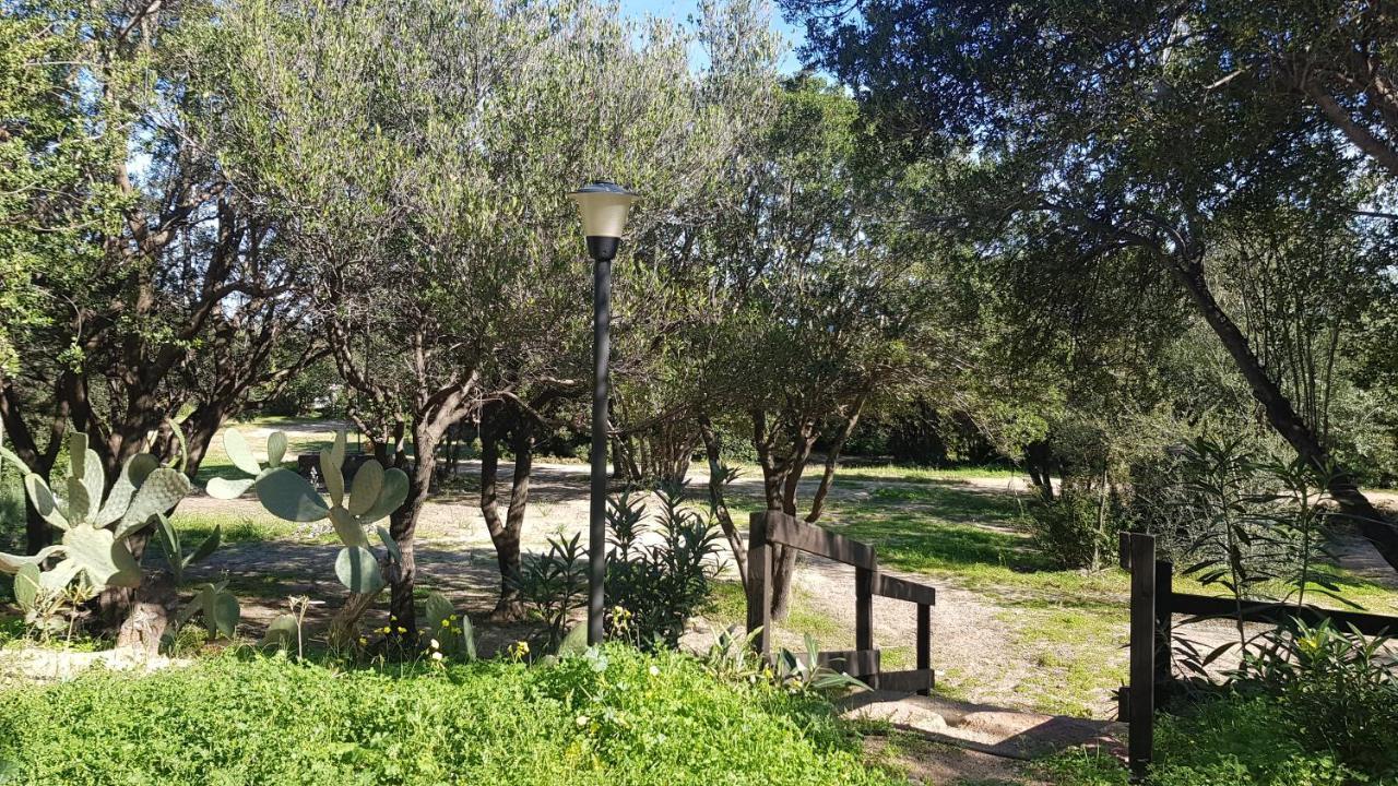 New Camping Coccorrocci Marina di Gairo Eksteriør billede