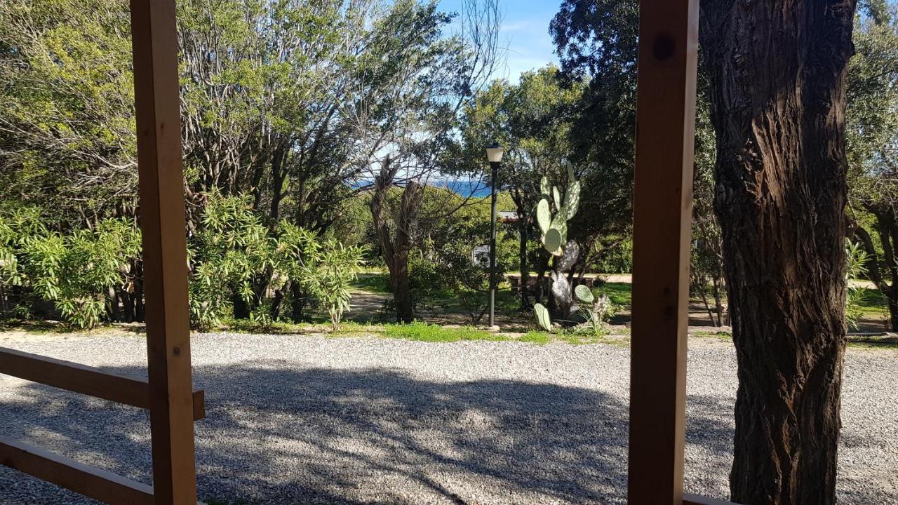 New Camping Coccorrocci Marina di Gairo Eksteriør billede