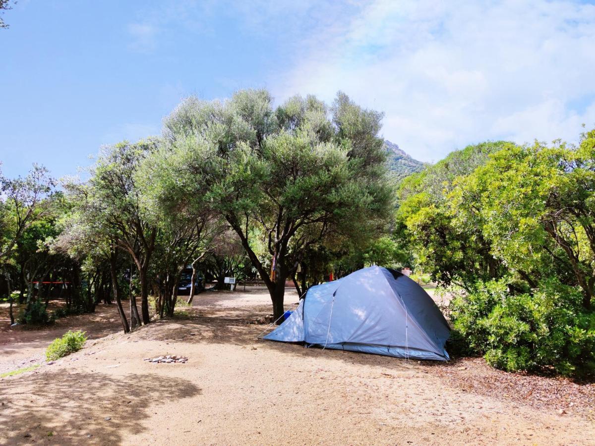 New Camping Coccorrocci Marina di Gairo Eksteriør billede