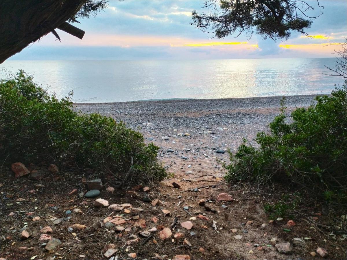 New Camping Coccorrocci Marina di Gairo Eksteriør billede