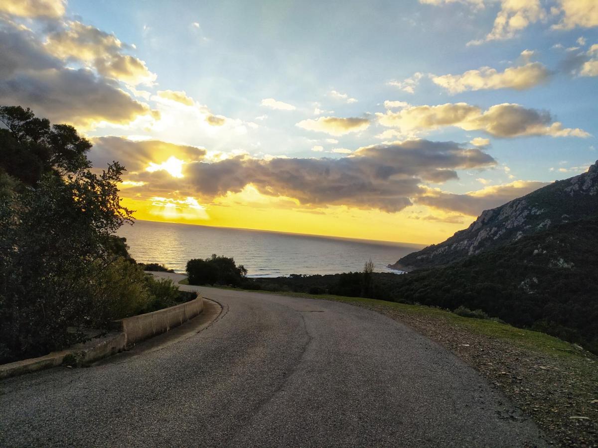 New Camping Coccorrocci Marina di Gairo Eksteriør billede