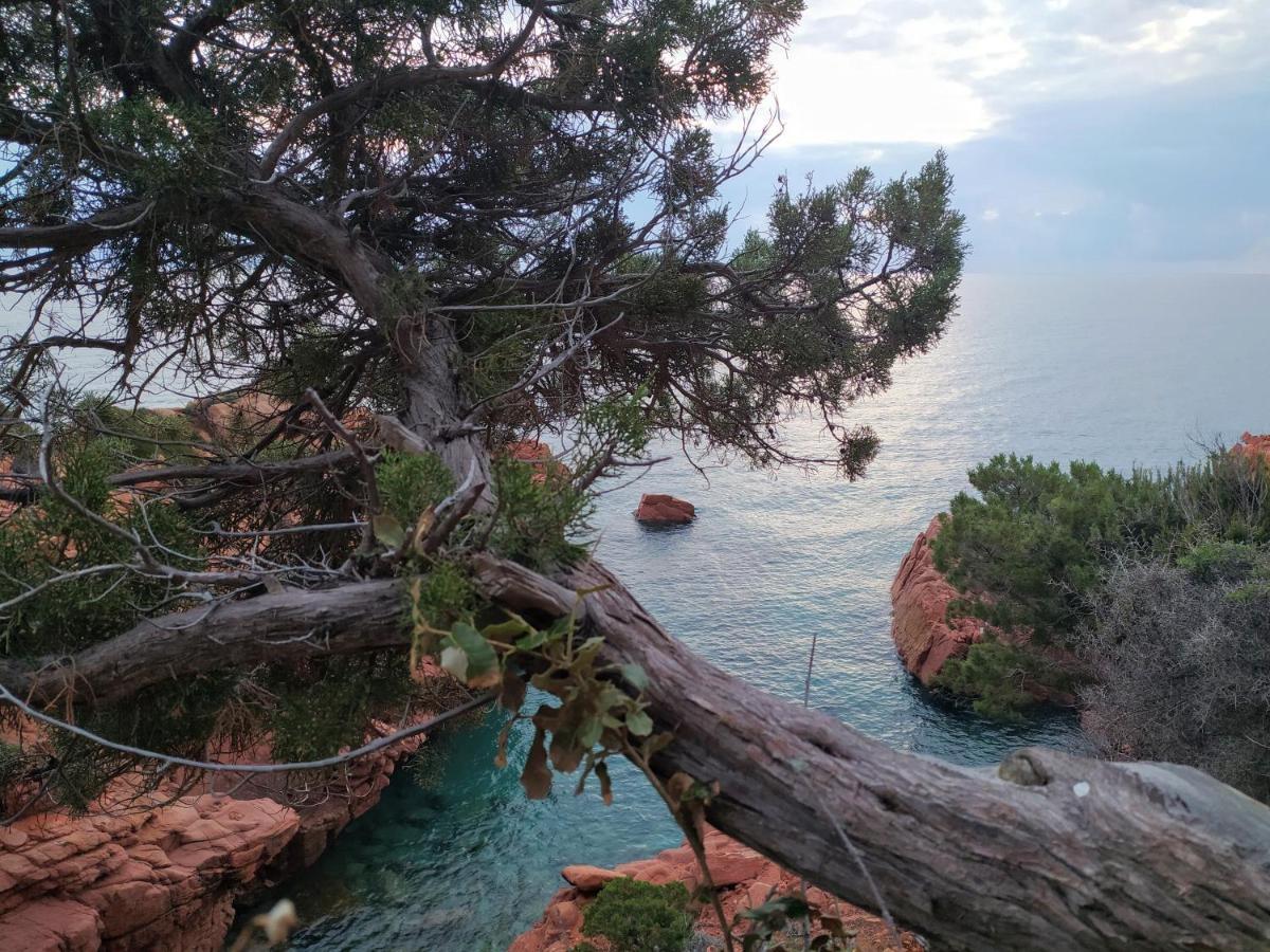 New Camping Coccorrocci Marina di Gairo Eksteriør billede