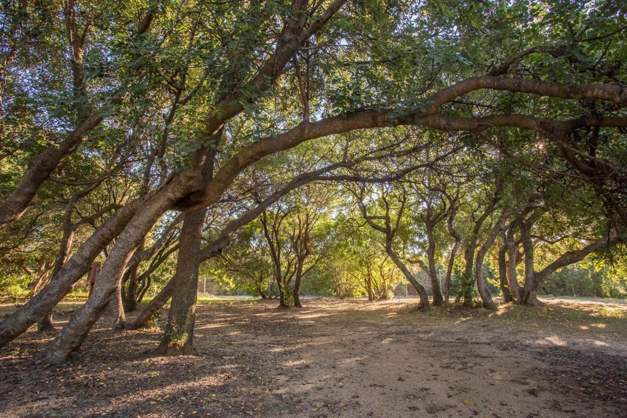 New Camping Coccorrocci Marina di Gairo Eksteriør billede