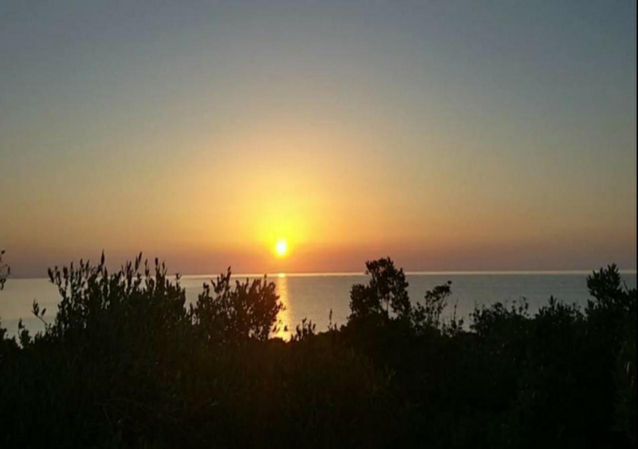 New Camping Coccorrocci Marina di Gairo Eksteriør billede